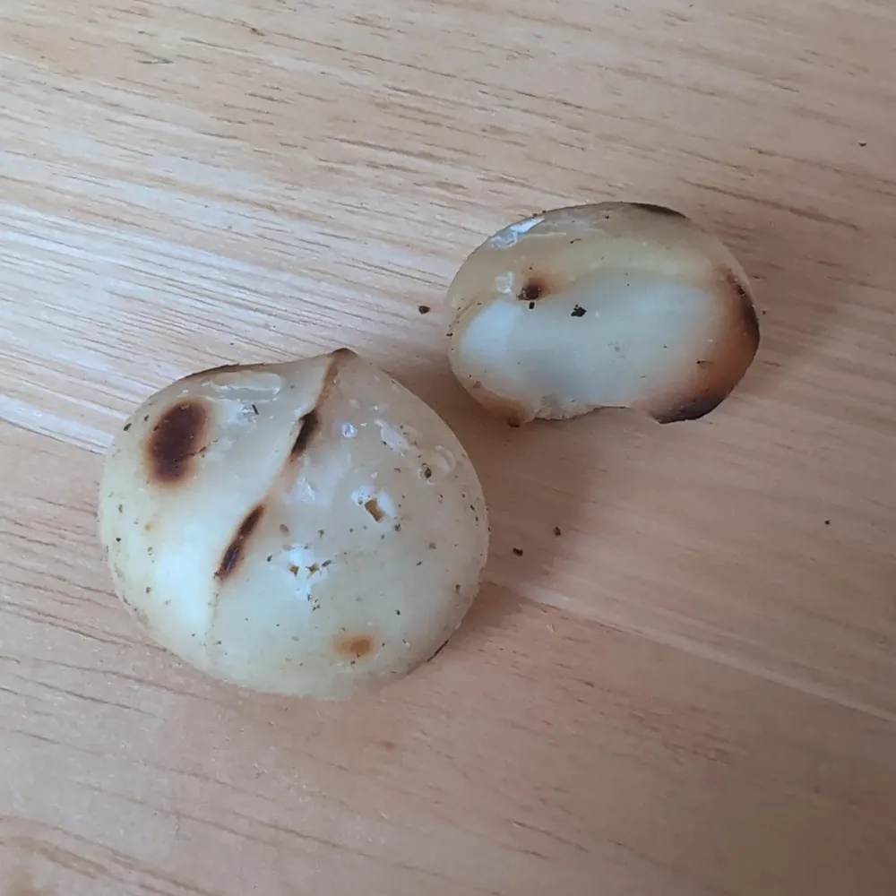 roastesd & salted